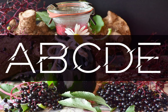 Elderberry Font - Preview 4