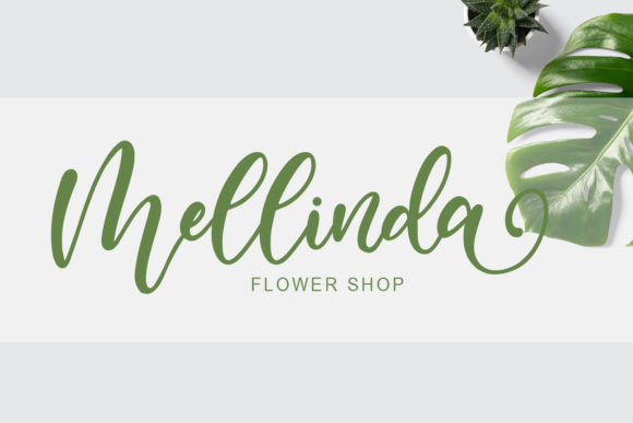 Gragina Font - Preview 5