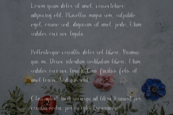 Hanania Font - Preview 2