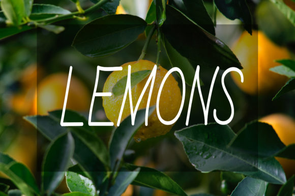 Linda Farmhouse Font PNG with transparent background - Preview 2
