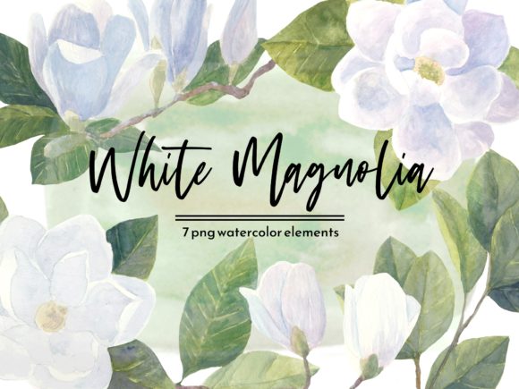 White Magnolia Watercolor Floral Set Graphic Illustrations By roselocket