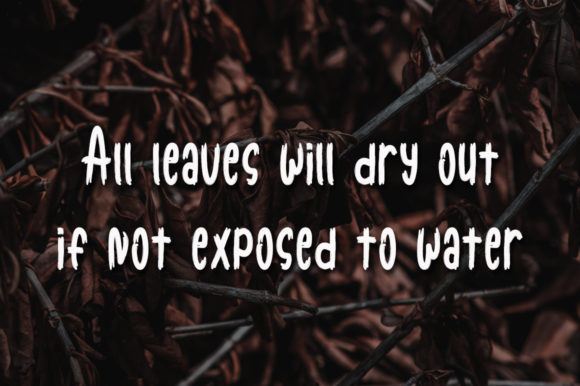 Dried Leaves Font - Preview 1
