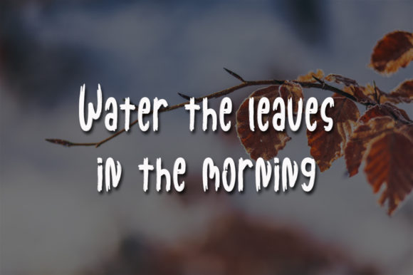 Dried Leaves Font - Preview 3