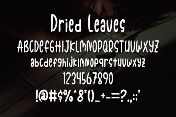 Dried Leaves Font - Preview 4