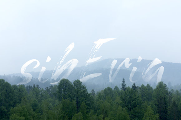 Dry Brush Font - Preview 1