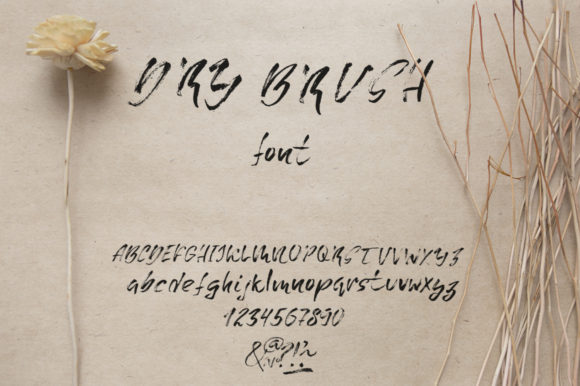 Dry Brush Font - Preview 2