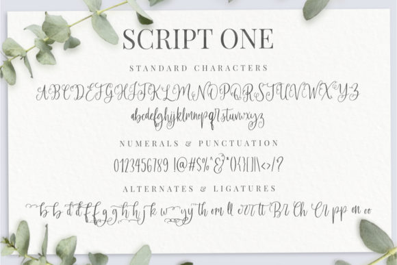 Felichiya Collection Font PNG with transparent background - Preview 4