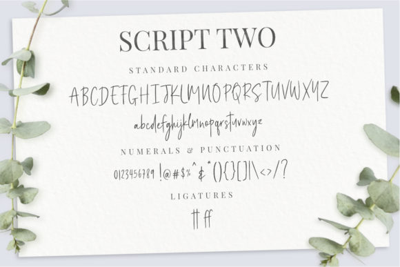 Felichiya Collection Font PNG with transparent background - Preview 5