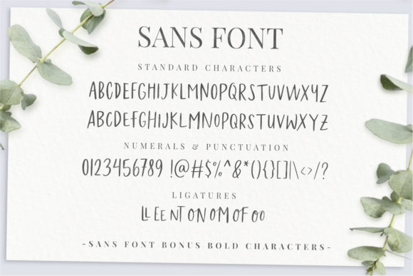 Felichiya Collection Font PNG with transparent background - Preview 6