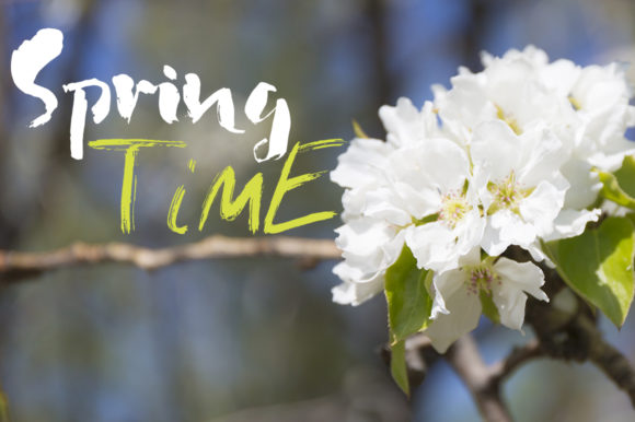 Dry Brush Duo Font - Preview 3