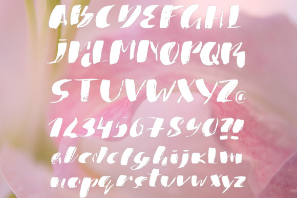 Handwritten Trio Font PNG with transparent background - Preview 4