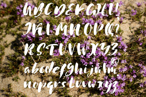 Handwritten Trio Font PNG with transparent background - Preview 5