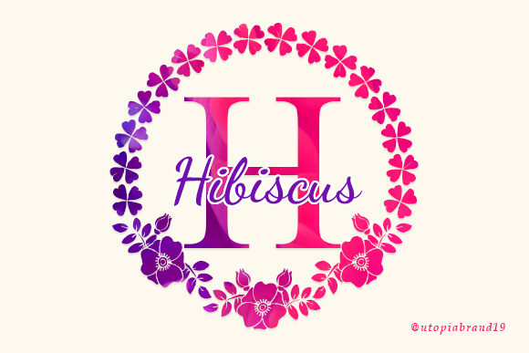 Hibiscus Monogram Decorative Font By utopiabrand19