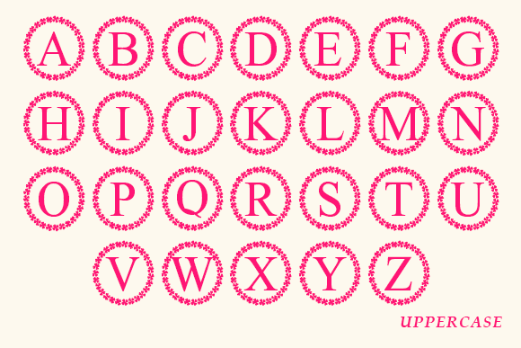 Hibiscus Monogram Font - Preview 3