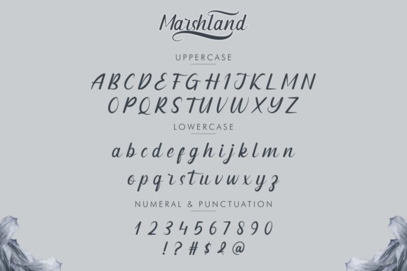 Marshland Font PNG with transparent background - Preview 3