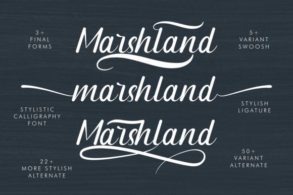 Marshland Font PNG with transparent background - Preview 4