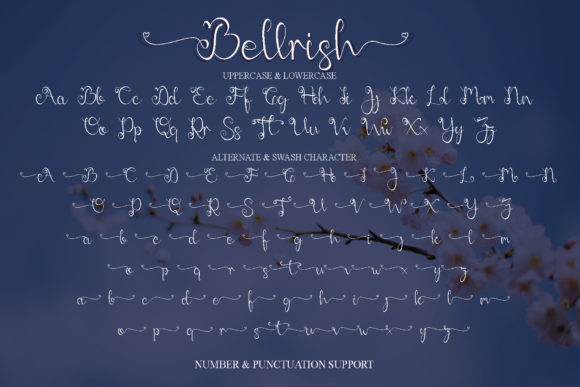Bellrish Font - Preview 6