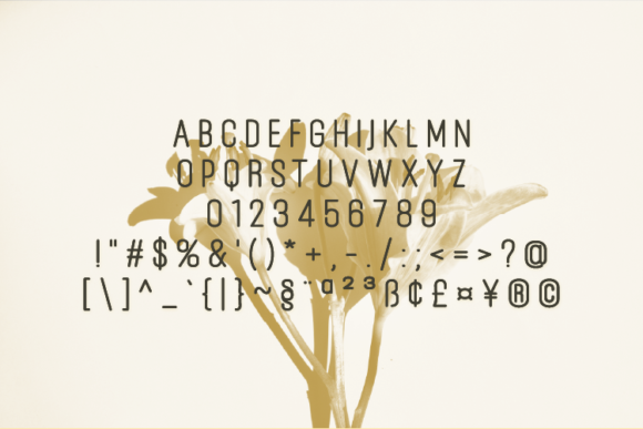 Dellione Font - Preview 1