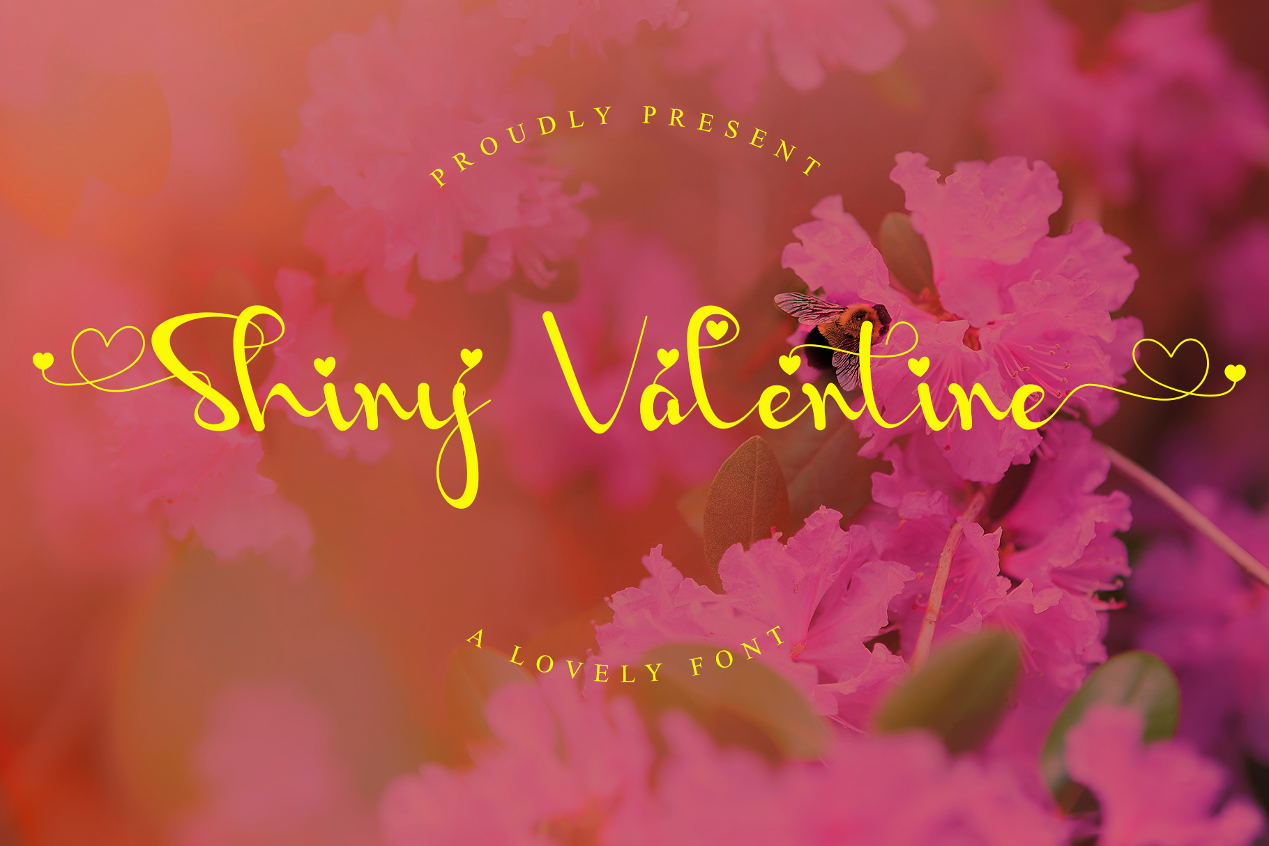 Shiny Valentine preview, casual elegant calligraphy