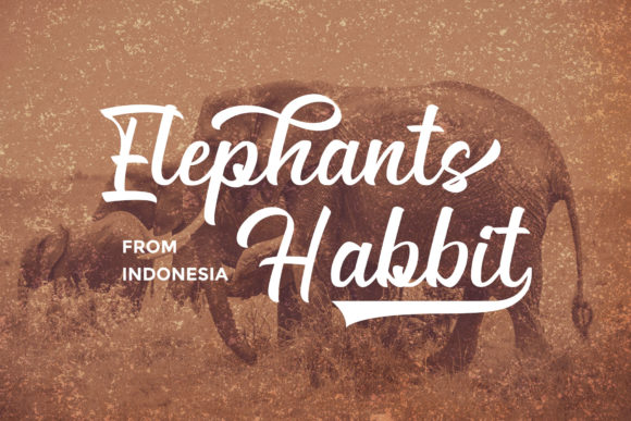 Generation Font PNG with transparent background - Preview 4