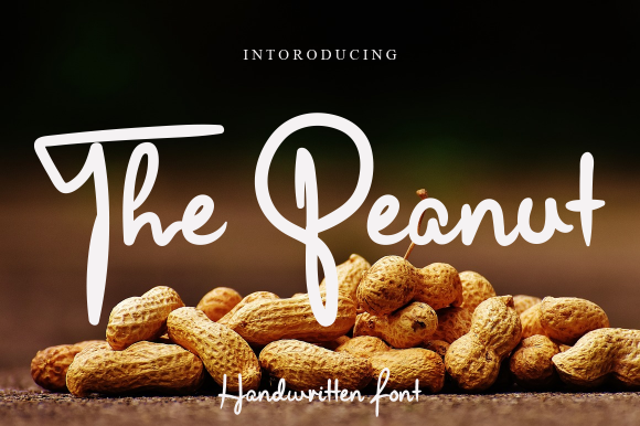 The Peanut Script & Handwritten Font By Garcio