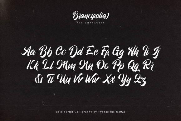 Brancifolia Font - Preview 6