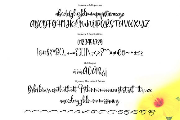 Bristly Font - Preview 5