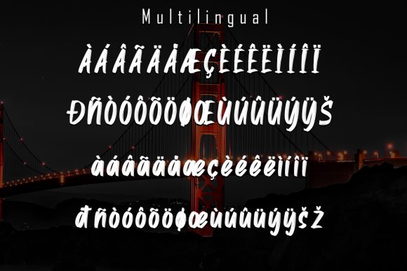 Alston Font - Preview 5
