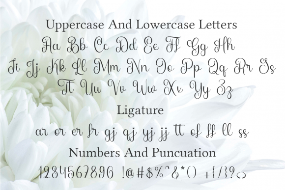 Boyfriend Font - Preview 2