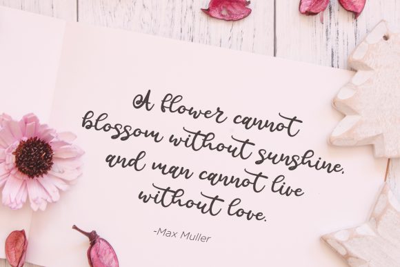 Calista Font - Preview 5