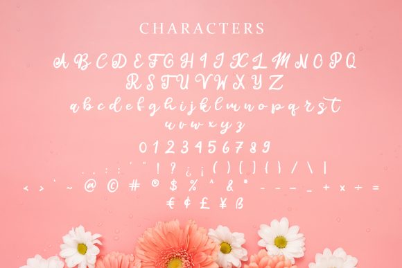 Calista Font - Preview 6