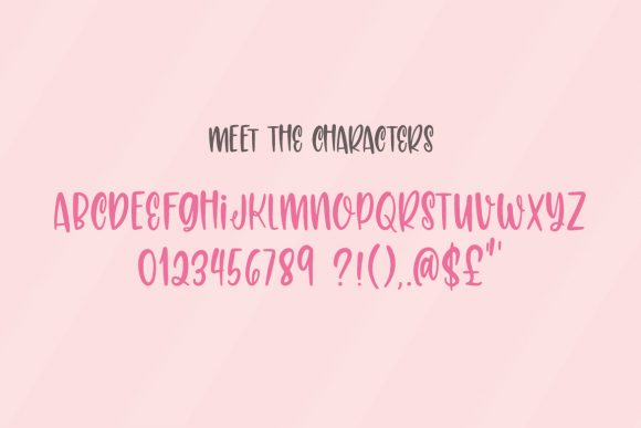 Carolina Font - Preview 5