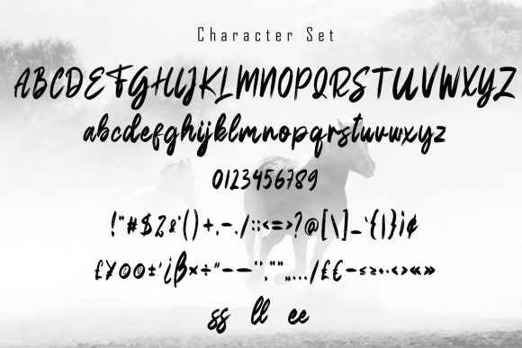 Desheer Font - Preview 4