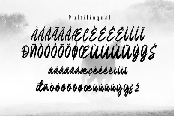 Desheer Font - Preview 5