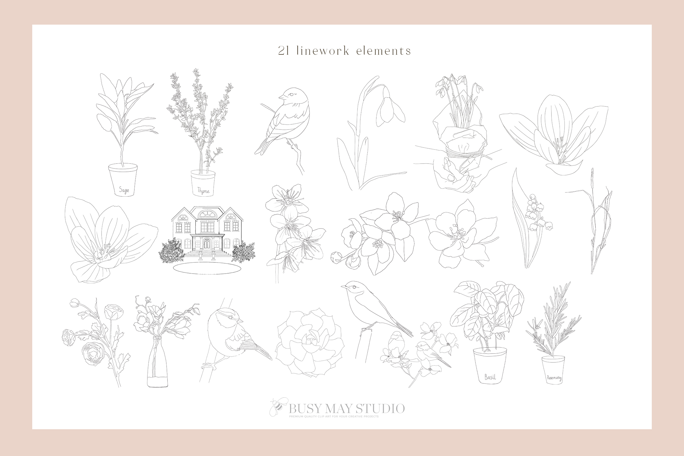 Line Art Creator and Patterns Vector - photo 4