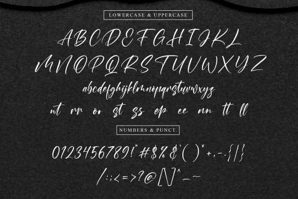 Antarry Font - Preview 5