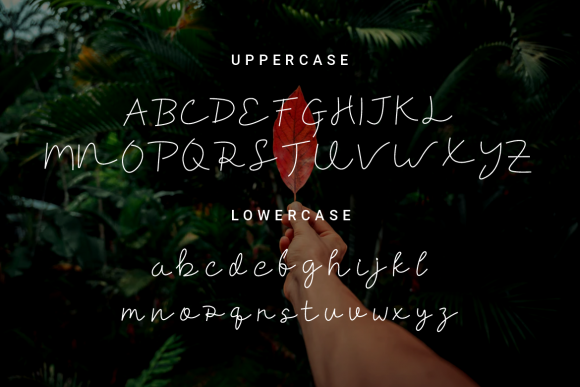 Caliova Font - Preview 1
