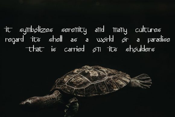 Earth Below Font - Preview 4