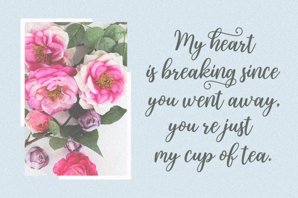 Natalic Font PNG with transparent background - Preview 5