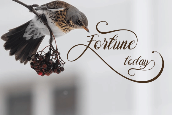 Augustine Font - Preview 5