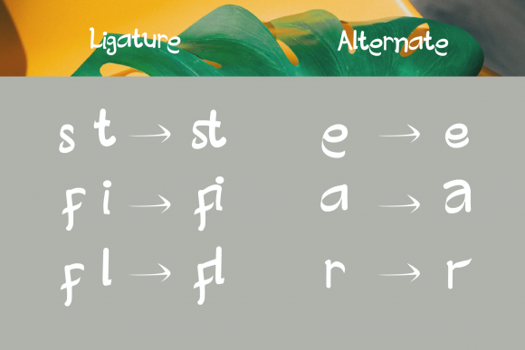Creative Designer Font - Preview 5