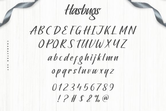Hasbugs Font - Preview 3