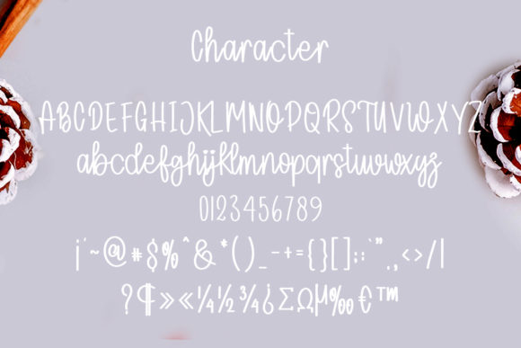 Angglea Wedding Font - Preview 5