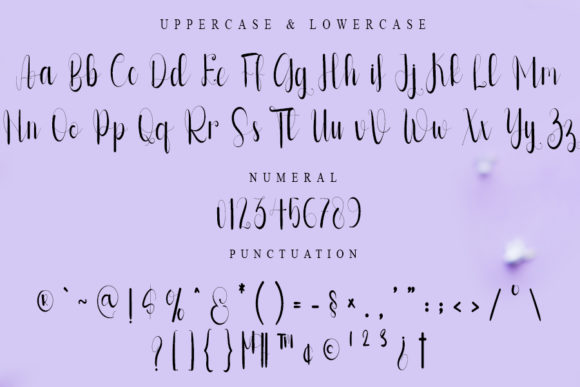 Baby Signature Font - Preview 3