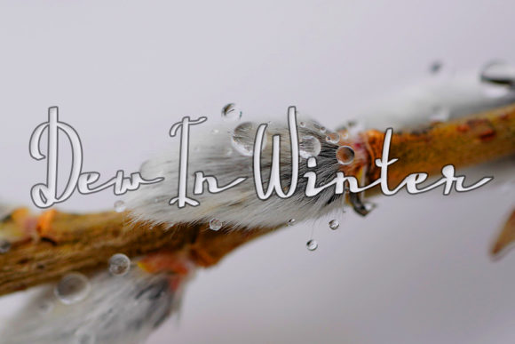 Big Day Font - Preview 2