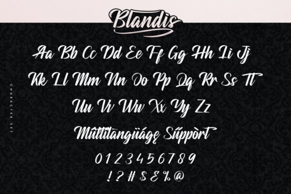 Blandis Font - Preview 3