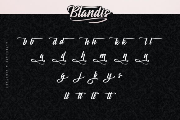 Blandis Font - Preview 5