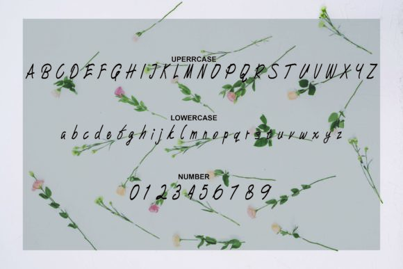 Romasa Font PNG with transparent background - Preview 3
