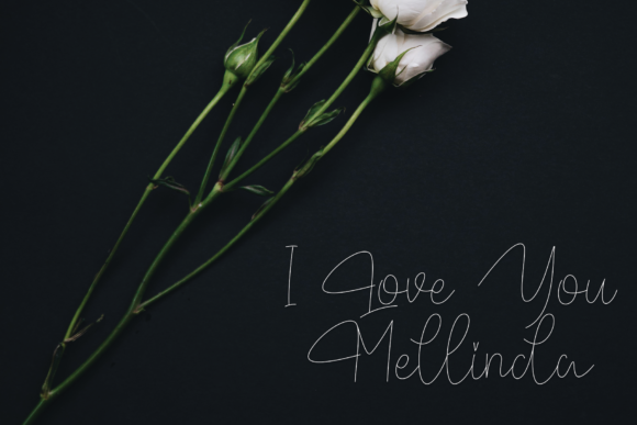 Baltimore Font - Preview 4