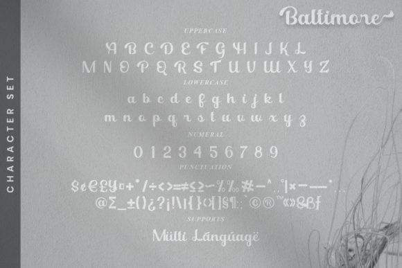 Baltimore Font - Preview 5